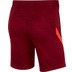 Nike Liverpool Strike Short