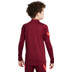 Nike Liverpool Strike Drill Top Kids