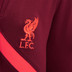 Nike Liverpool Strike Pant Kids