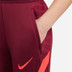 Nike Liverpool Strike Pant Kids