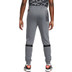 Nike Paris Saint-Germain Travel Fleece Pant
