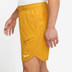 Nike Court Dry Advantage 9 Inch Short