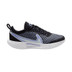 Nike Court Zoom Pro Dames 1