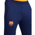 Nike FC Barcelona Strike Training Pant