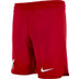 Nike Liverpool Thuis Tenue