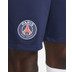Nike Paris Saint-Germain Thuis Tenue
