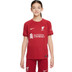 Nike Liverpool Thuis Tenue Kids