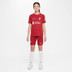 Nike Liverpool Thuis Tenue Kids