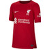 Nike Liverpool Thuis Tenue Kids