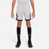 Nike Paris Saint-Germain Pre-match Trainingsset Kids