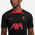 Nike Liverpool Strike Trainingsset