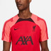 Nike Liverpool Strike Top 2022-2023