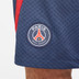 Nike Paris Saint-Germain Strike Trainingsset