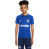 Nike Chelsea Strike Top Kids 2022-2023 1