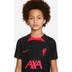 Nike Liverpool Strike Trainingsset Kids