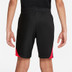 Nike Liverpool Strike Trainingsset Kids