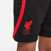 Nike Liverpool Strike Trainingsset Kids