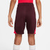 Nike Liverpool Strike Short Kids 2022-2023