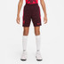 Nike Liverpool Strike Short Kids 2022-2023