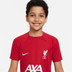 Nike Liverpool Academy Pro Trainingsset Kinder
