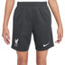 Nike Liverpool Academy Pro Trainingsset Kinder

