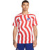 Nike Atletico Madrid Thuis Shirt 2022/2023