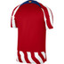 Nike Atletico Madrid Thuis Shirt 2022/2023