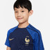 Nike Frankrijk Strike Top Kids