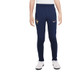 Nike Frankrijk Strike Trainingspak Kids