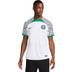 Nike Nigeria Uit Shirt