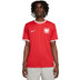 Nike Polen Uit Shirt