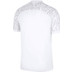 Nike Polen Thuis Shirt