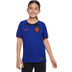 Nike Nederland Uit Tenue Kids