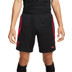 Nike Liverpool Strike Short 2022-2023 1