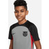 Nike FC Barcelona Strike Top Kids 2022-2023