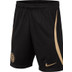Nike Chelsea Strike Short Kids 2022-2023 1