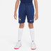 Nike Frankrijk Strike Short Kids 3