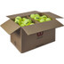 Wilson Triniti Club Trainer 72 Stuks Box