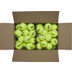 Wilson Triniti Club Trainer 72 Stuks Box