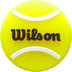 Wilson Roland Garros Vibra Collection Bowl 50 St. 8