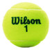 Wilson Roland Garros Green 4 St. 2