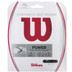 Wilson Synthetic Gut Power Set