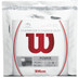 Wilson Champions Choice Duo Set