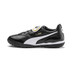 Puma King Top TF