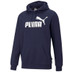 Puma Essential Big Logo Hoody