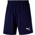 Puma Goal 23 Training Short