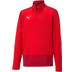 Puma Goal 23 Training 1/4 Zip Training Top Kids