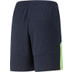 Puma FINAL Training Short