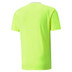 Puma Team Liga Tee 6