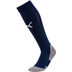 Puma Goal Fotboll kit 
